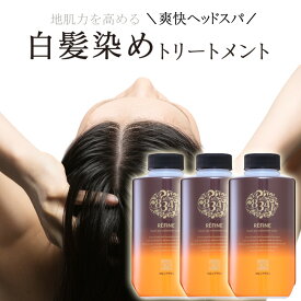 ＜クリアランス＞ 白髪染め レフィーネ ヘッドスパ トリートメントカラー 300g R3 （レフィル） 3本セット 【ポンプ別売り】 カラートリートメント 女性用 ヘアカラー SHOW-WA 母の日
