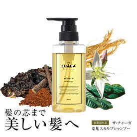 薬用 スカルプ シャンプー ザ チャーガ 290mL | 医薬部外品 女性用 男性用 スカルプシャンプー 薬用スカルプシャンプー ノンシリコン スカルプ スカルプケア 頭皮ケア 頭皮ケアシャンプー 頭皮 薬用シャンプー レフィーネ