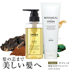 薬用 スカルプ シャンプー ザ チャーガ 290mL＋トリートメント250gセット | 医薬部外品 女性用 男性用 スカルプシャンプー 薬用スカルプシャンプー ノンシリコン スカルプ スカルプケア 頭皮ケア 頭皮ケアシャンプー 頭皮 薬用シャンプー レフィーネ SHOW-WA
