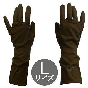 vpѐߎ܁iLTCYj SHOW-WA