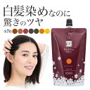 白髪染め 男性用 女性用 レフィーネ ヘアカラー トリートメント 大容量 300g【2本で送料無料】敏感肌 白髪 白髪染 白髪かくし 全体部 部分染めにも ダー...