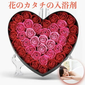  Ԃ̌`̃oXtOX bhn[g{bNX  sN X^ht v[gMtg 蕨 LO ܃Mtg \[vt[