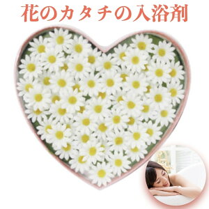  Ԃ̌`̃oXtOX }[Kbgn[g{bNX  X^ht v[gMtg 蕨 LO ܃Mtg \[vt[