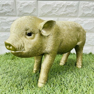 ̓  S[fsbO v[g Mtg 蕨 u  A Aj}IuWF CeA 킢  K[fI[ig ֐ G