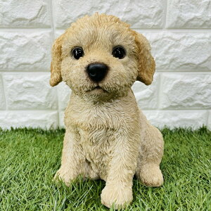 v[h ̉u v[g Mtg 蕨 A Aj}IuWF CeA 킢  K[fI[ig ֐ G