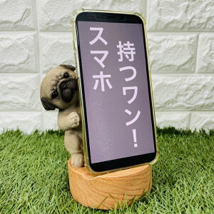 X}zX^h pO  Ck  v[g Mtg 蕨 u  A Aj}IuWF CeA 킢  K[fI[ig ֐  G