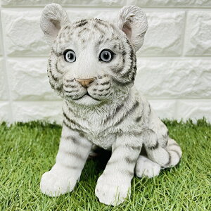 g̒u  zCg^CK[ E v[g Mtg 蕨 u  A Aj}IuWF CeA 킢  K[fI[ig ֐  G