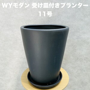 Aؔ ^ 11 F ubN WY_ PR1 }bg 󂯎MtZbg  Jo[ ֖򓩊f 32×H39.5cm