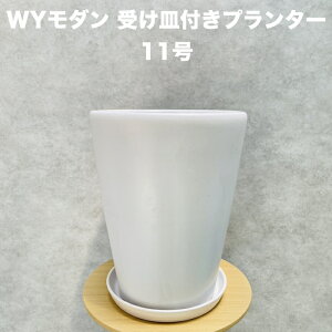Aؔ ^ 11 F zCg WY_ PR1 }bg 󂯎MtZbg  Jo[ ֖򓩊f 32×H39.5cm