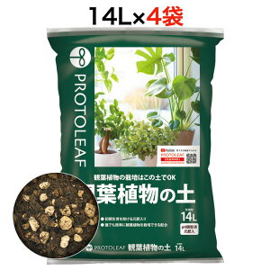 ܂Ƃߔ vg[t ϗtA̓y 14L×4 ϗtA