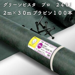 O[rX^ v hEV[g240O[ ̓^Cv 2m×30mivs100{tjV[g