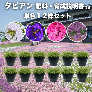 �^�s�A�� 4�F����I�ׂ� �P�F12���Z�b�g �엿�t�� 9cm�|�b�g�c 3�� �o�[�x�i�� �T���g���[�t�����[�Y �O�����h�J�o�[ �G���΍�