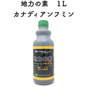 n͂̑f JifBAt~ Lbh12 Ai͍ t y K[fjO   앨 ƒ؉ _ yǍ _앨 