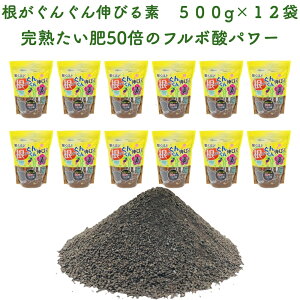 قǍ񂮂Lтf 500g×12 yǍ VR̕A t{_ |p OhJo[ y K[fjO   앨 ƒ؉ _ _앨 