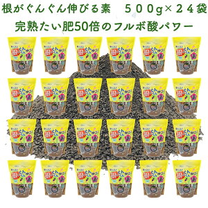 قǍ񂮂Lтf 500g×24 yǍ VR̕A t{_ |p OhJo[ y K[fjO   앨 ƒ؉ _ _앨 