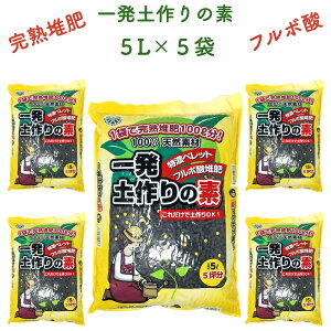 ꔭy̑f 5L×5 ͔  t{_ |p OhJo[ y K[fjO   앨 엿 ƒ؉ _ _앨 