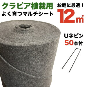 NsAp}`V[gZbgp V[g1m×12mi12m2j+ U^si50{j NsA K7 K5 S2 |bgcp A͗p z  Abv