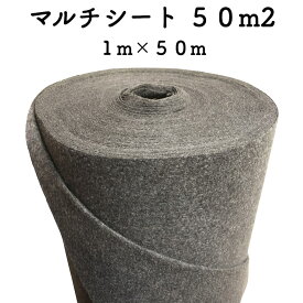 クラピア専用マルチシート （50m2） 1m幅50m巻 吸水性 透水性アップ 病気になりにくい