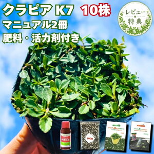 �N���s�A K7 �� �O�����h�J�o�[ �c10�� ���������Z�b�g ��2.5���ėp ���S�A�̓}�j���A���t�� �엿�E���͍�2��(�L�@����ꔭ�ʍؔ엿 ���l�f�[��) �G���΍� �Ő����� �C���_���\�E���ǎ� ��