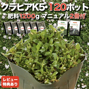 y\Tz NsA K5ij 9cm|bgc 120Zbg L@ꔭʍؔ엿1200gƊSA̓}jAt C_\Eǎ OhJo[ vc G΍  K[fjO 