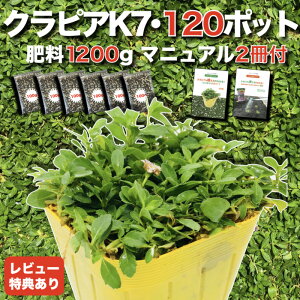 yr[TLz NsA K7ij 9cm|bgc 120Zbg L@ꔭʍؔ엿1200gt SA̓}jAt OhJo[ C_\Eǎ i F G΍ vc 