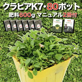 【レビュー特典有】 クラピア K7（白） 9cmポット苗 80鉢セット 有機入り一発果菜肥料600g付き 完全植栽マニュアル付き イワダレソウ改良種 白品種 白色 雑草対策 グランドカバー プランツ 庭 ガーデニング diy ガーデン K5より耐病性が優れる