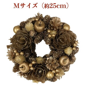 Ԃ̃i`[X MTCY 25cm  hA X^ht hCt[ v[gMtg     킢