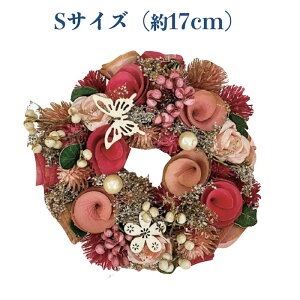 Ԃ̃i`[X STCY 17cm  hA X^ht hCt[ v[gMtg     킢