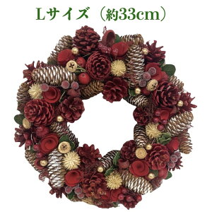 Ԃ̃i`[X LTCY 33cm  hA X^ht hCt[ v[gMtg     킢