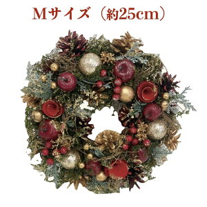 Ԃ̃i`[X MTCY 25cm  hA X^ht hCt[ v[gMtg     킢