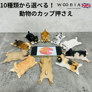 10킩Iׂ邤Ԃ̓̒u Jbv woobia E[rA  K[f CeA gC IuWF  v[g k  G  _ ʔ  Mtg O  