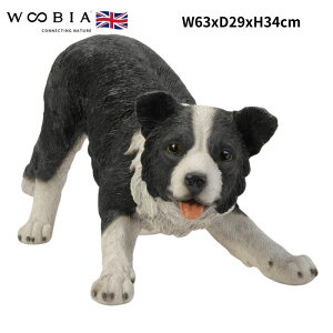 u {[_[R[  Ck  34cm woobia E[rA 傫 킢  K[f CeA IuWF   v[g k  G  _ ʔ  M