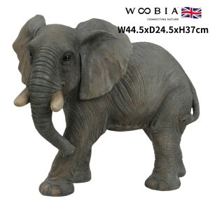 u ]E   37cm woobia E[rA 傫 킢  K[f CeA IuWF  v[g k  G  _ ʔ  Mtg O  A ֐ K[