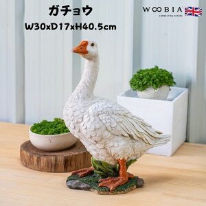 u K`E ObY 40.5cm woobia E[rA 傫 킢  K[f CeA IuWF   v[g k  G  _ ʔ  Mtg O  A