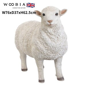 u ߂r  62.5cm woobia E[rA 傫 킢  K[f CeA IuWF   v[g k  G  _ ʔ  Mtg O  A 