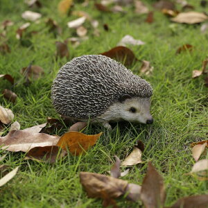 킢 nlY~̒u    蕨  A CeA G K[fI[ig ֐  G v[g Mtg