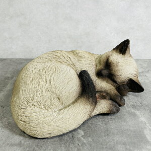 킢 L u VL    gC 蕨  CeA K[fI[ig ֐  G v[g Mtg K[fjO