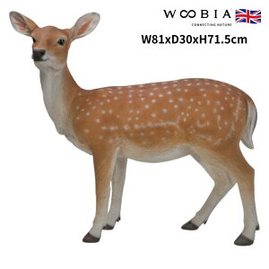 u ҂  71.5cm woobia E[rA 傫 킢  K[f CeA IuWF   v[g k  G  _ ʔ  Mtg O  A 