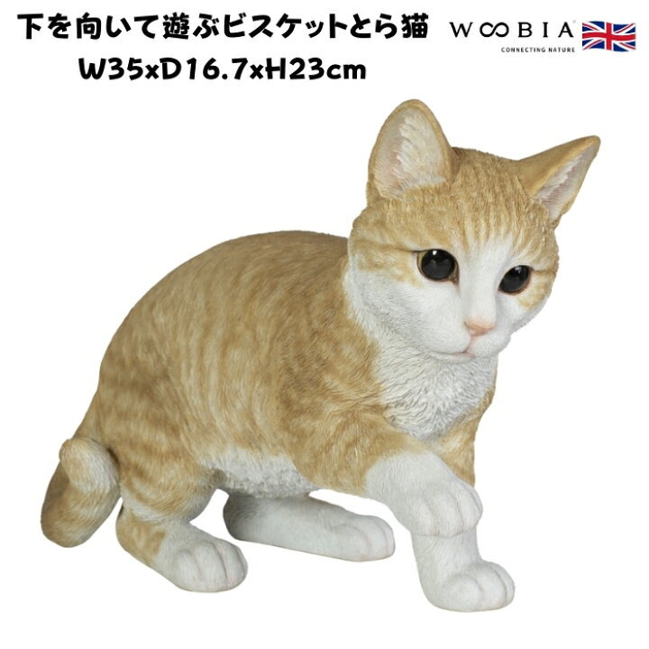 楽天市場】置物 下を向いて遊ぶビスケットとら猫 ネコ 高さ23cm woobia 