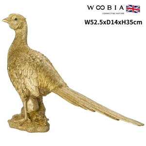 u LW S[h   F N 35cm woobia E[rA 傫 킢  K[f CeA IuWF   v[g k  G  _ ʔ  Mtg 