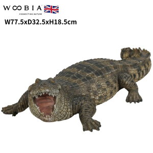 u Њd郏j 18.5cm woobia E[rA 傫 킢  K[f CeA IuWF   v[g k  G  _ ʔ  Mtg O  A 