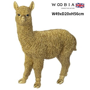 u ApJ S[h F N 56cm woobia E[rA 傫 킢  K[f CeA IuWF   v[g k  G  _ ʔ  Mtg 