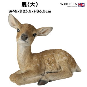 u   ObY 36.5cm woobia E[rA 傫 킢  K[f CeA IuWF   v[g k  G  _ ʔ  Mtg O  A 
