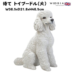 u ҂ăgCv[h   ObY 48.5cm woobia E[rA 傫 킢  K[f CeA IuWF   v[g k  G  _ ʔ  Mtg 