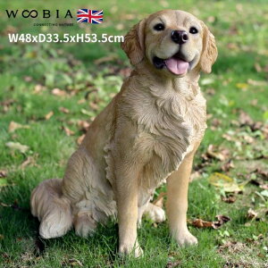 u S[fEgo[  Ck  53.5cm woobia E[rA 傫 킢  K[f CeA IuWF   v[g k  G  _ ʔ