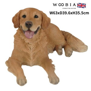 置物 横たわるゴールデン レトリバー 犬 イヌ 特大 高さ35.5cm woobia ウービア 大きい かわいい おしゃれ ガーデン インテリア オブジェ 巨大 可愛い プレゼント 北欧 玄関 雑貨 動物 モダン 面