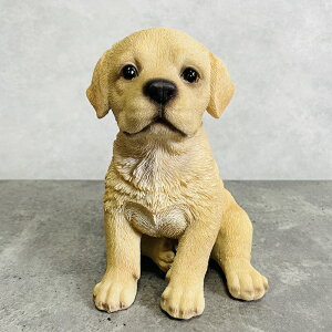 킢̒u 胉uh[go[    gC 蕨  CeA K[fI[ig ֐  G v[g Mtg K[fjO