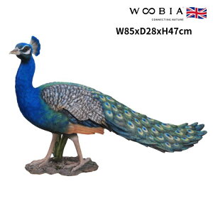 u NWN  47cm woobia E[rA 傫 킢  K[f CeA IuWF   v[g k  G  _ ʔ  Mtg O  A 