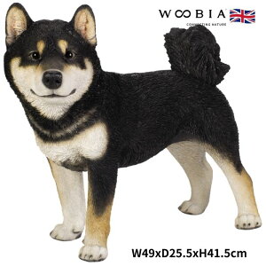 u Ă鍕Č Ck  41.5cm woobia E[rA 傫 킢  K[f CeA IuWF   v[g k  G  _ ʔ  Mtg 