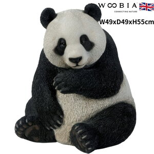 u p_  55cm woobia E[rA 傫 킢  K[f CeA IuWF   v[g k  G  _ ʔ  Mtg O  A 